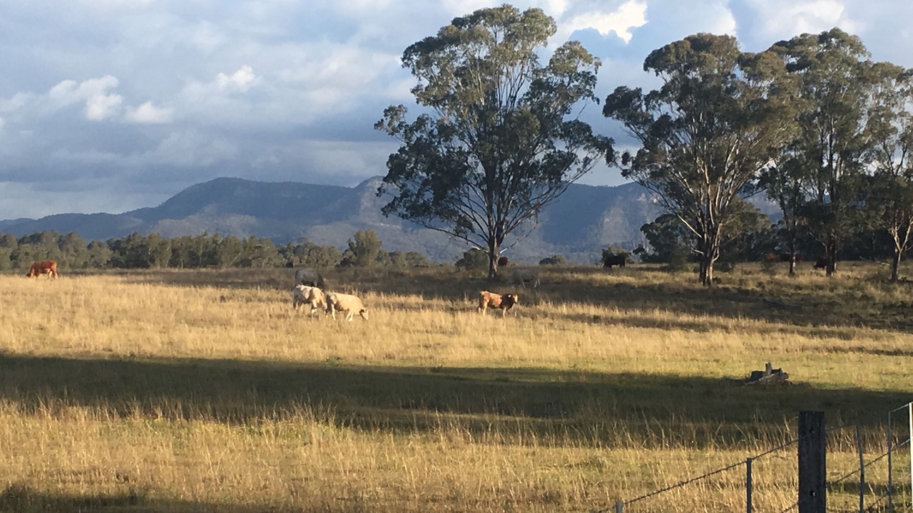 Photo of Others in Pokolbin