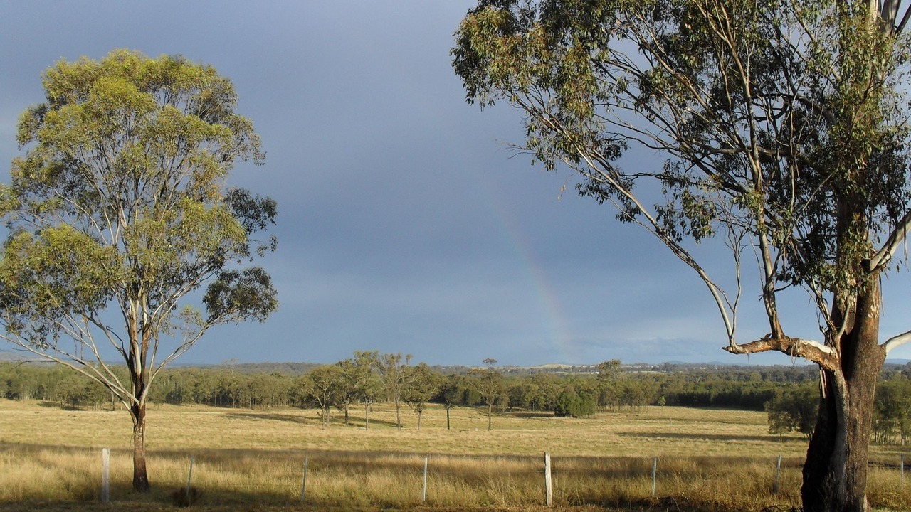 Photo of Outdoor in Pokolbin