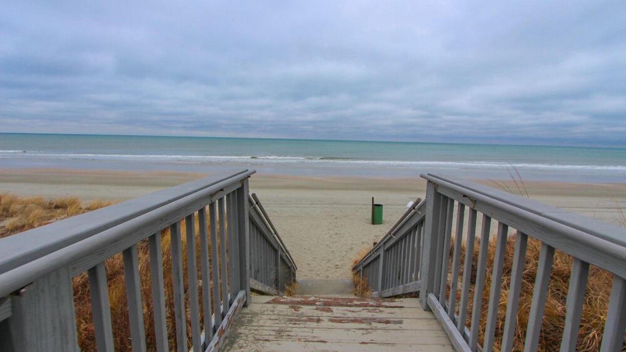 Photo of Others in Arcadian Shores