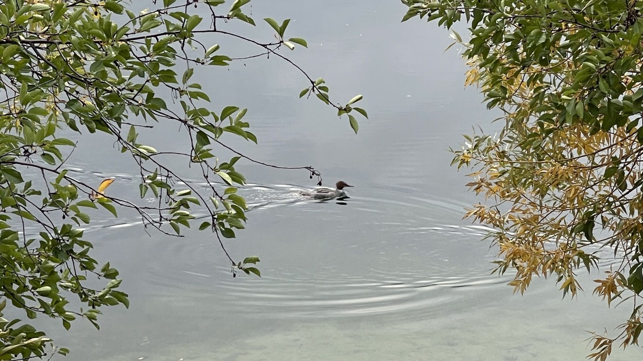 Photo of Outdoor in Valley