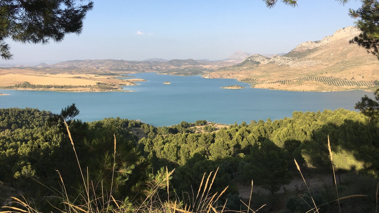 Photo of Others in Alhaurin el Grande