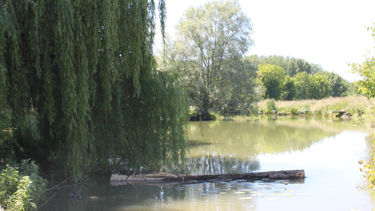 Photo of Outdoor in Deneze-sous-le-Lude