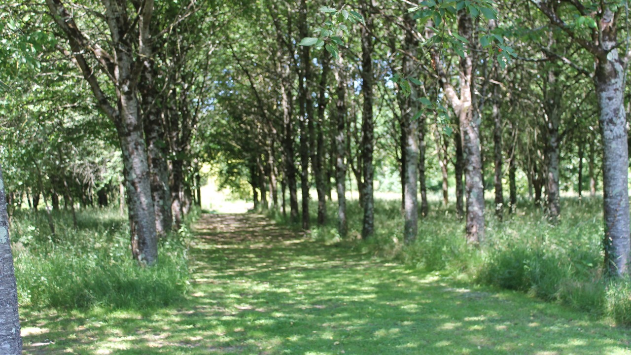 Photo of Others in Deneze-sous-le-Lude