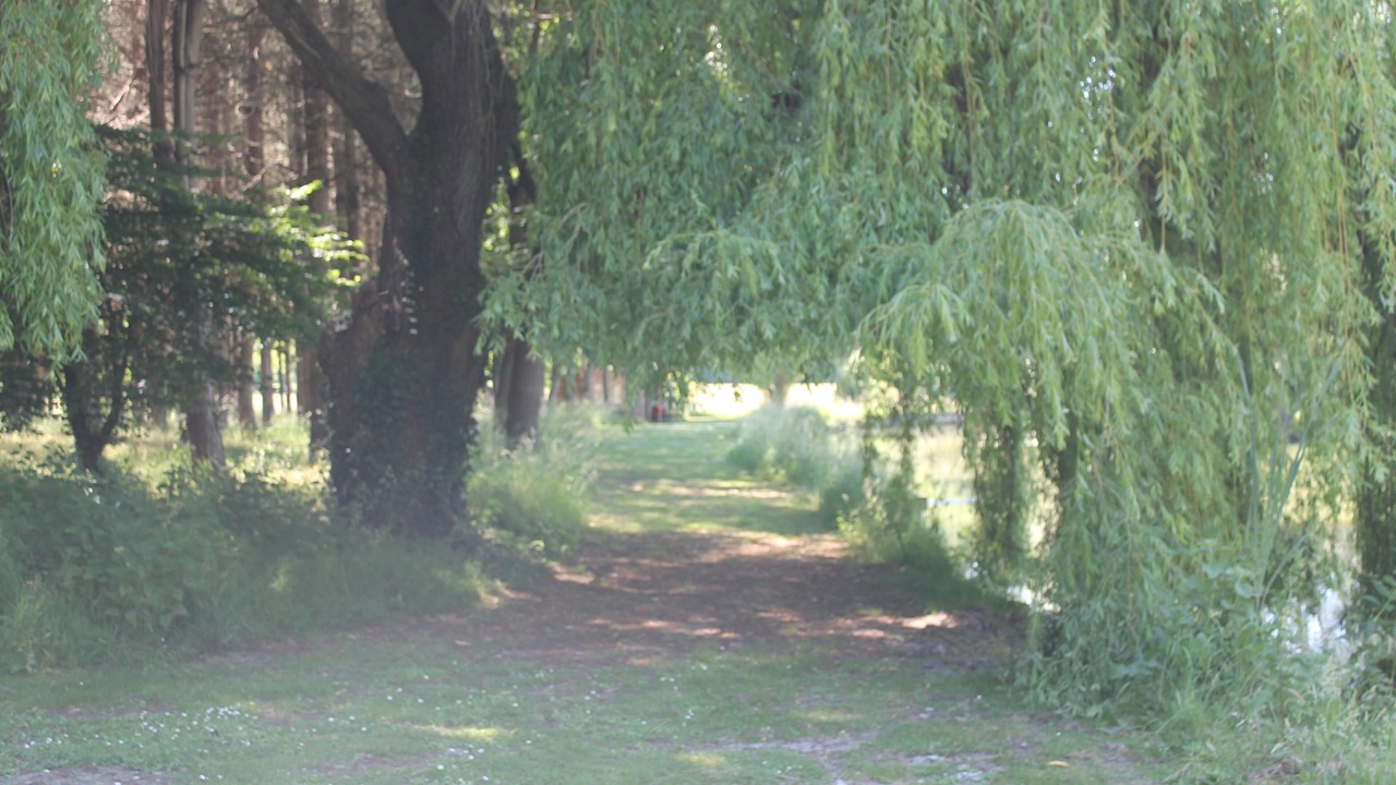 Photo of Outdoor in Deneze-sous-le-Lude