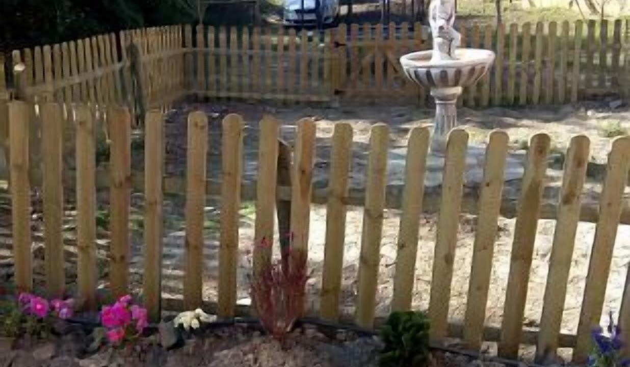 Photo of Outdoor in Bellestar