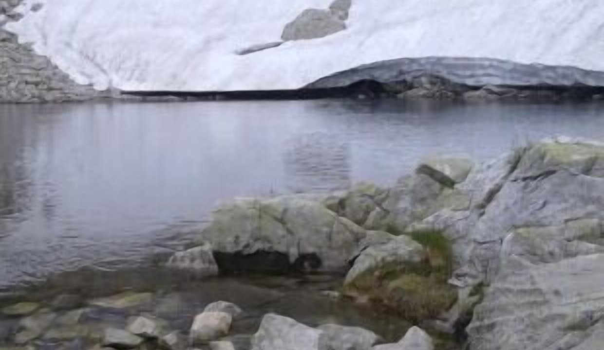 Photo of Outdoor in Bellestar