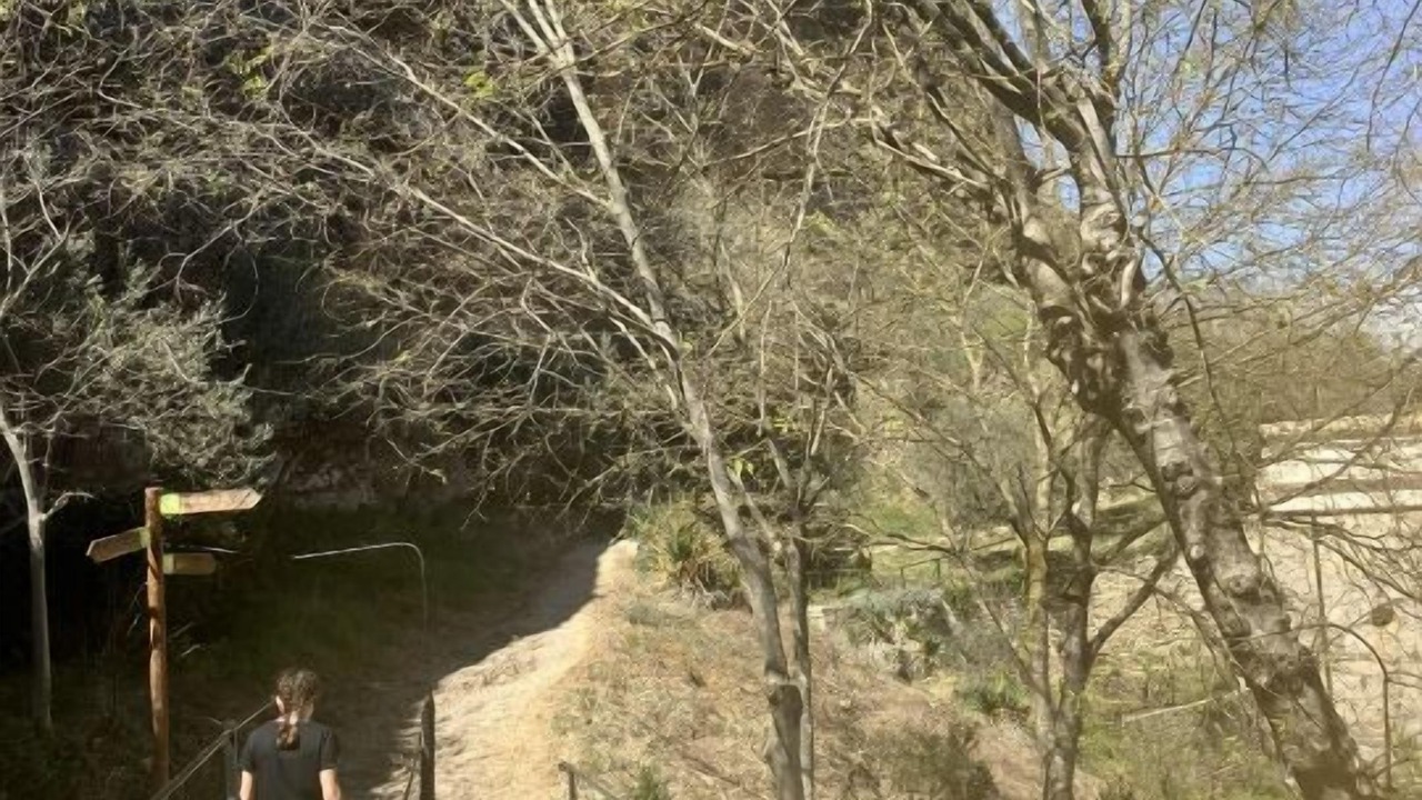 Photo of Outdoor in Bellestar