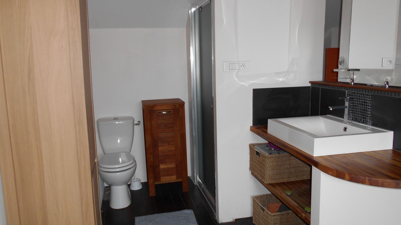 Photo of Bathroom in La Chapelle-Saint-Aubin
