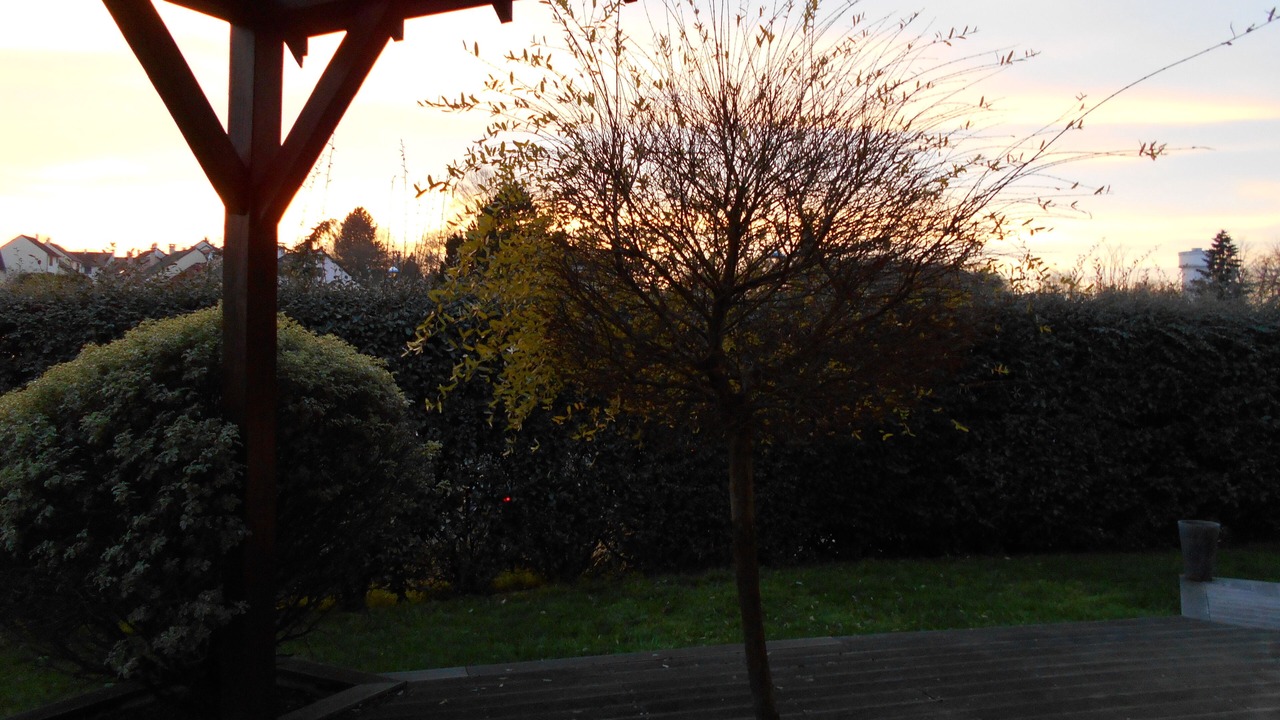 Photo of Outdoor in La Chapelle-Saint-Aubin