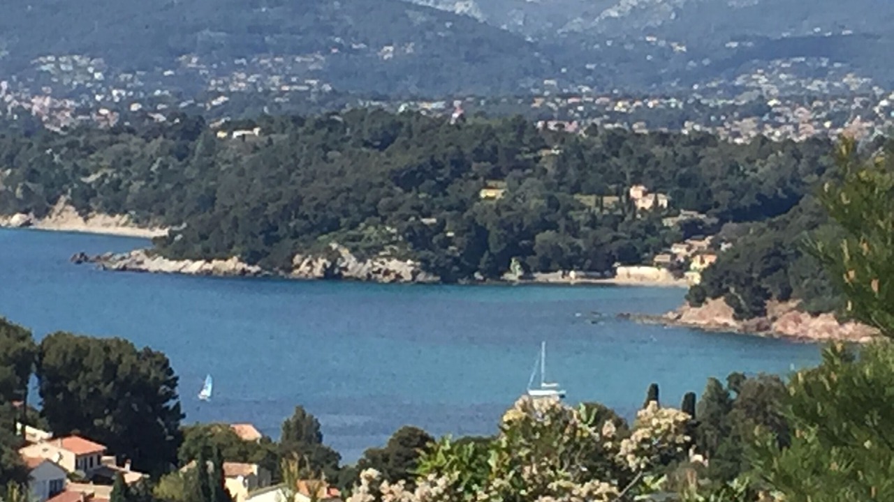 Photo of Others in Le Pradet
