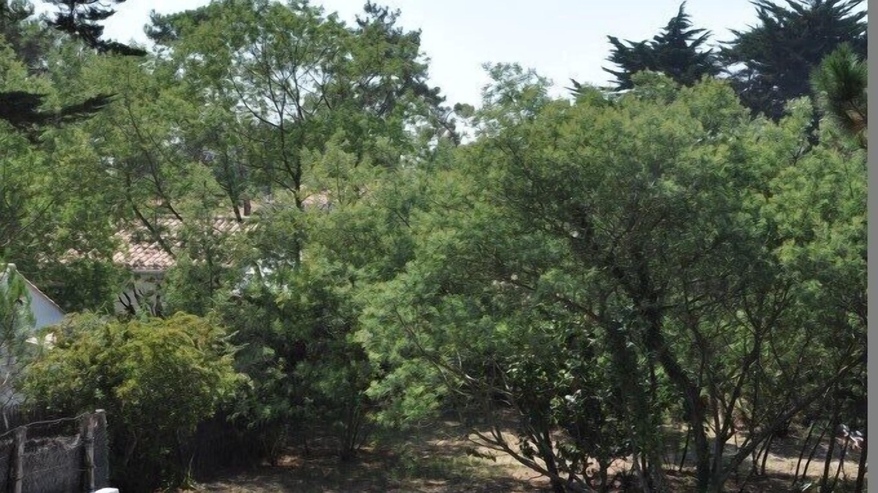 Photo of Outdoor in Noirmoutier-en-l'Ile