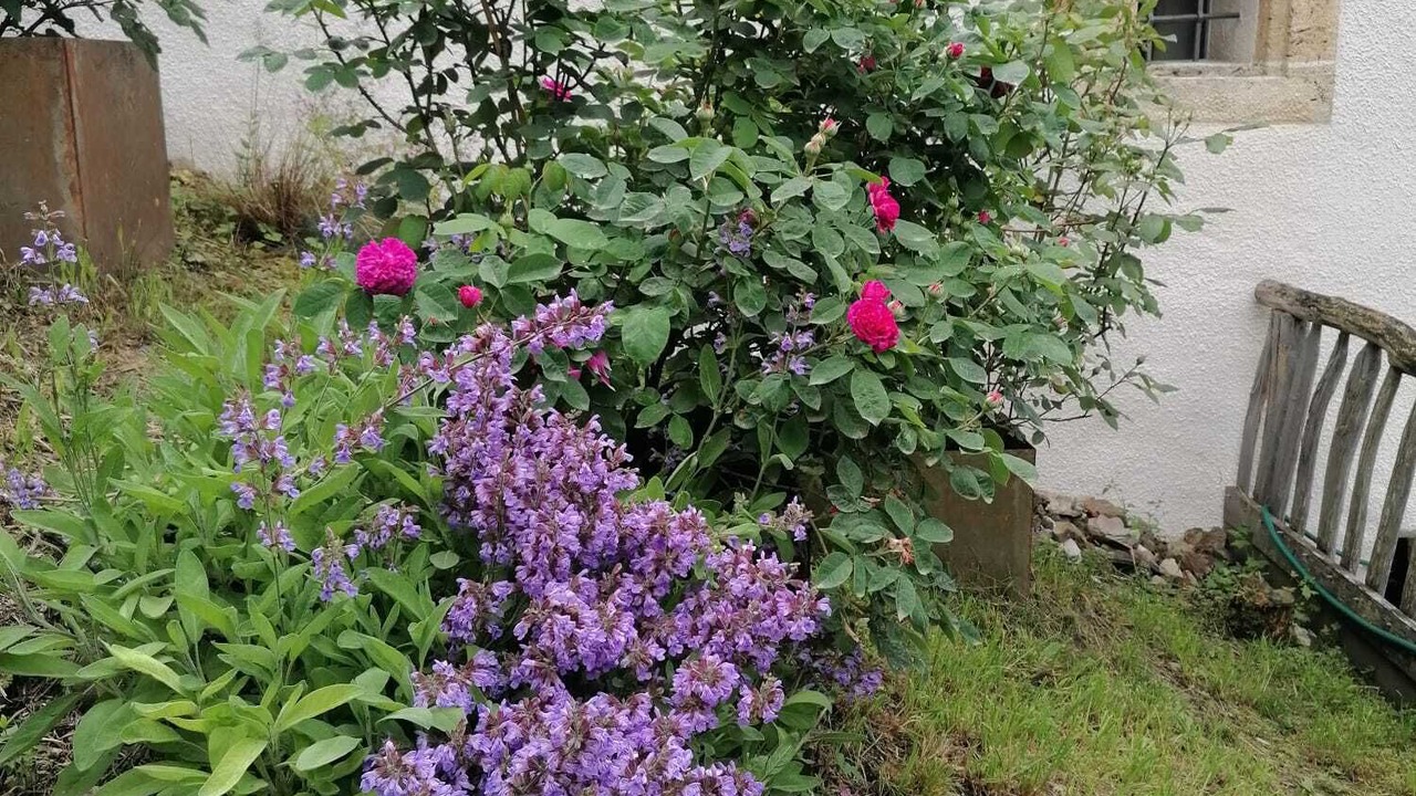 Photo of Outdoor in Albinen