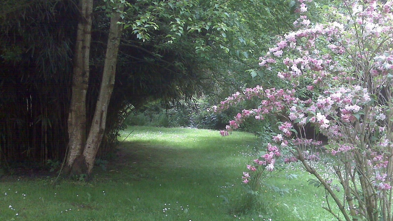 Photo of Outdoor in Carolles