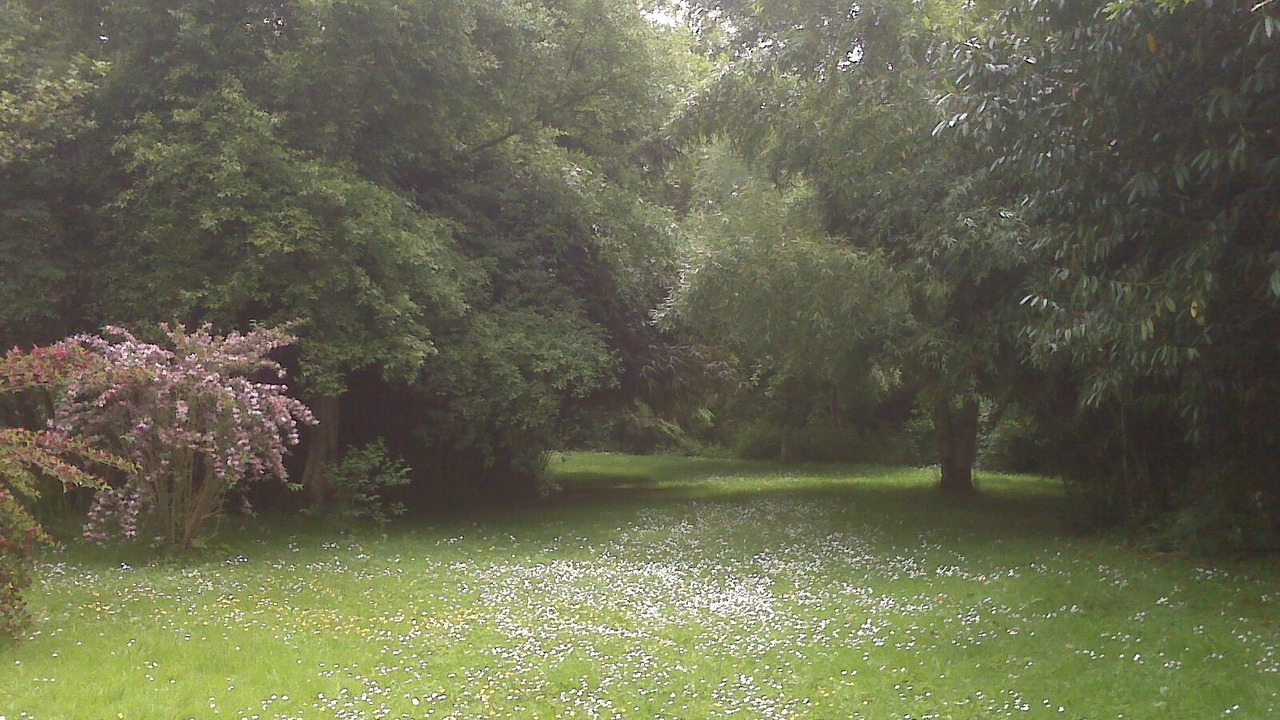 Photo of Outdoor in Carolles