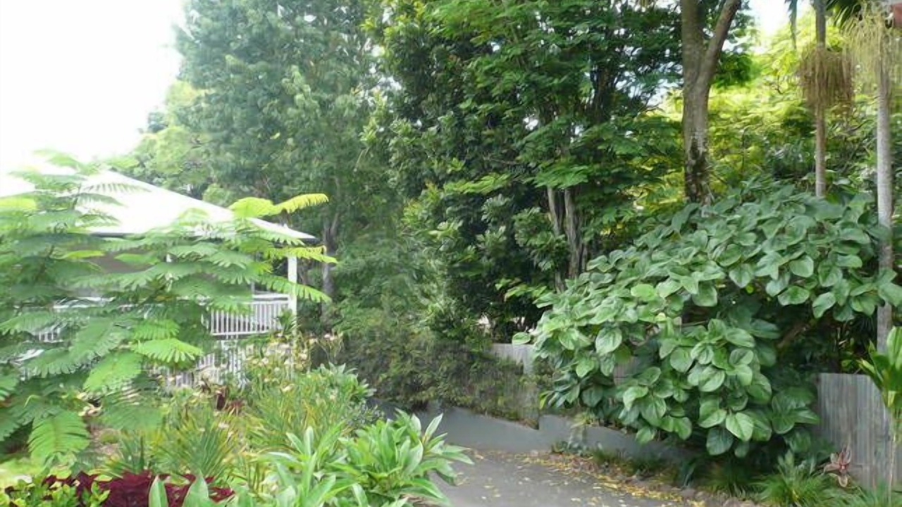 Photo of Outdoor in Bangalow