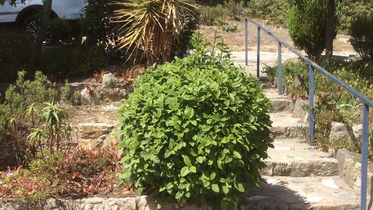 Photo of Outdoor in Bandol