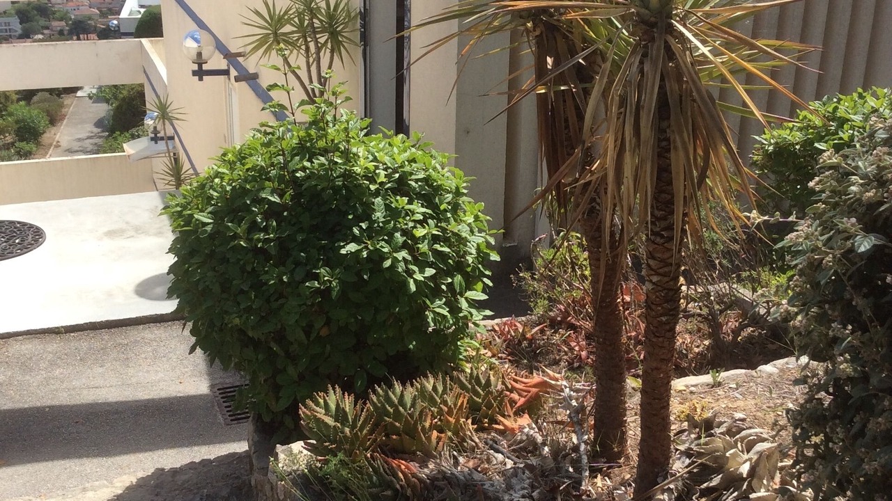 Photo of Outdoor in Bandol