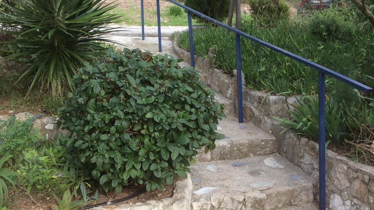 Photo of Outdoor in Bandol