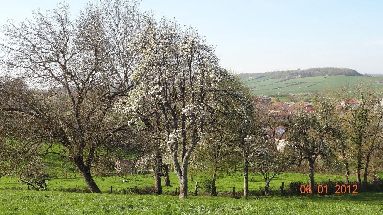Photo of Outdoor in Hammeville