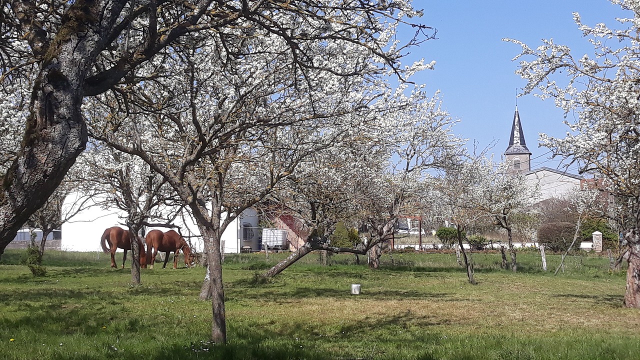 Photo of Outdoor in Hammeville