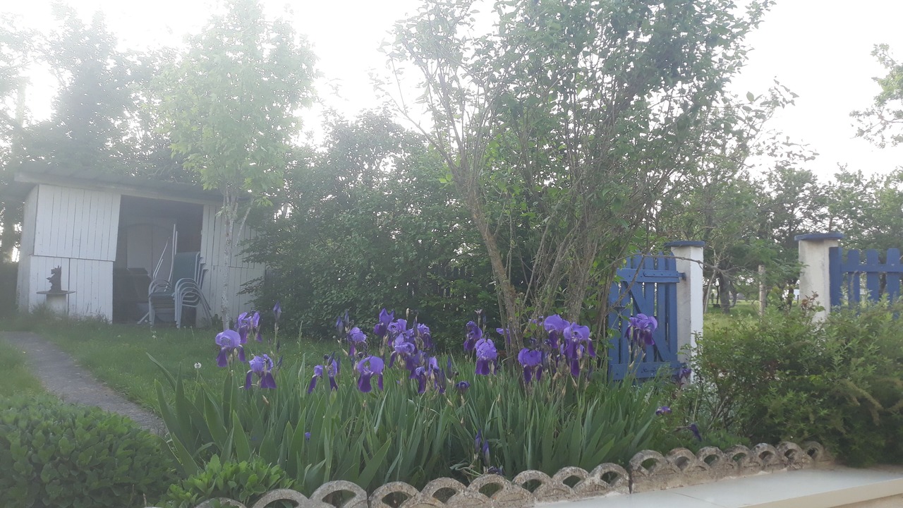Photo of Outdoor in Hammeville