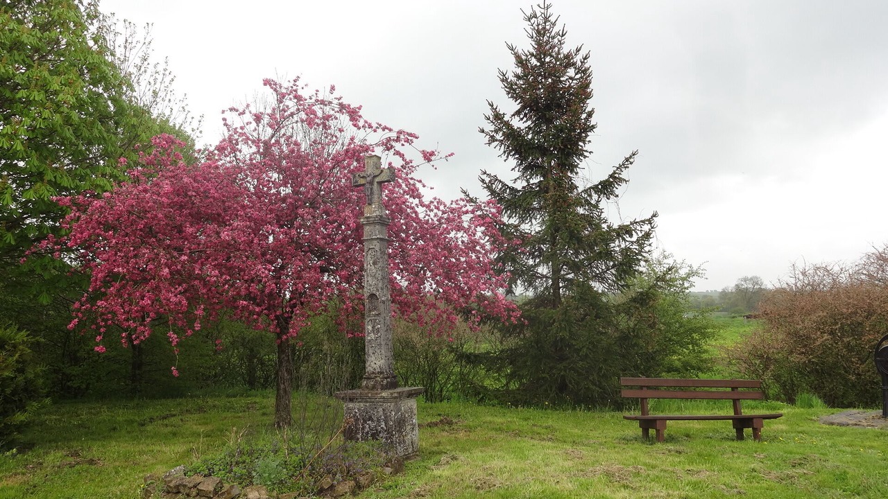 Photo of Outdoor in Hammeville