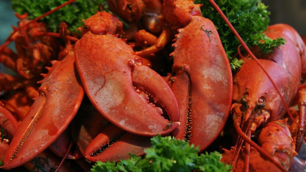 Photo of Others in West Bath