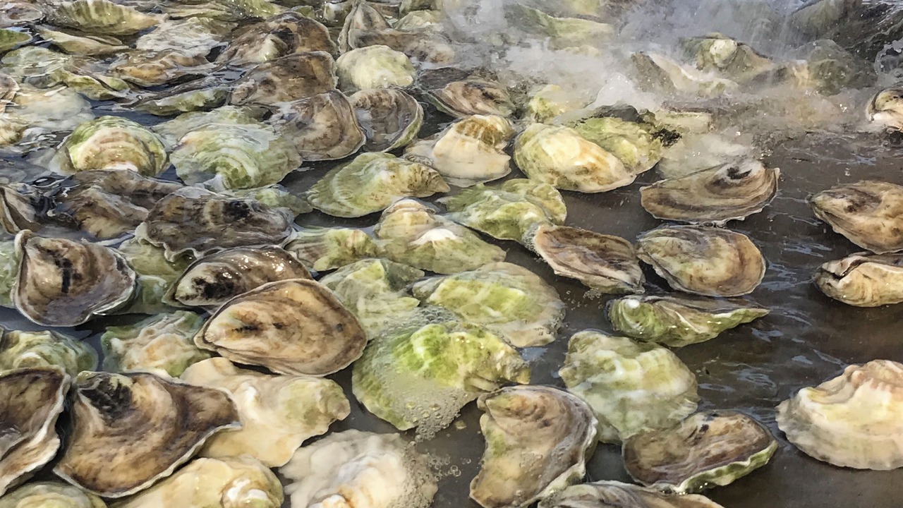 Photo of Others in West Bath