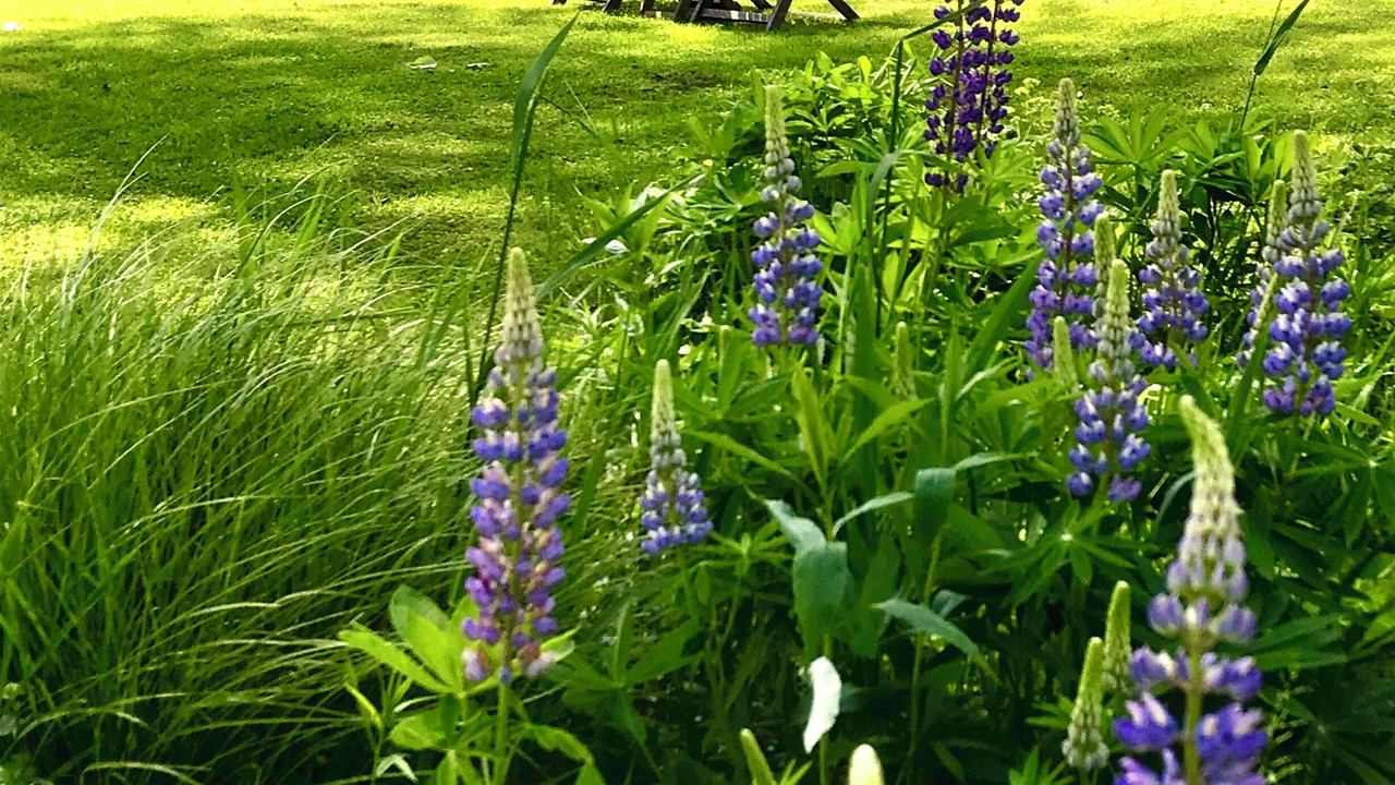 Photo of Patio Balcony in West Bath