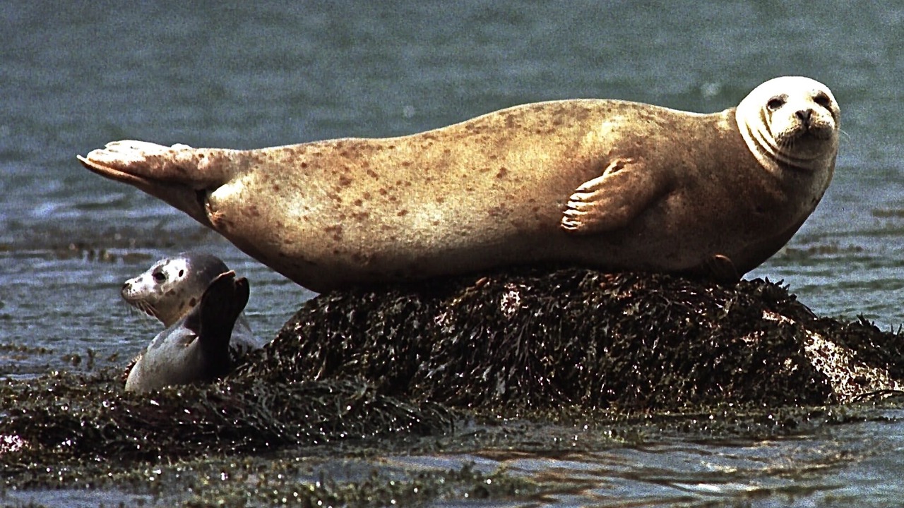 Photo of Others in West Bath