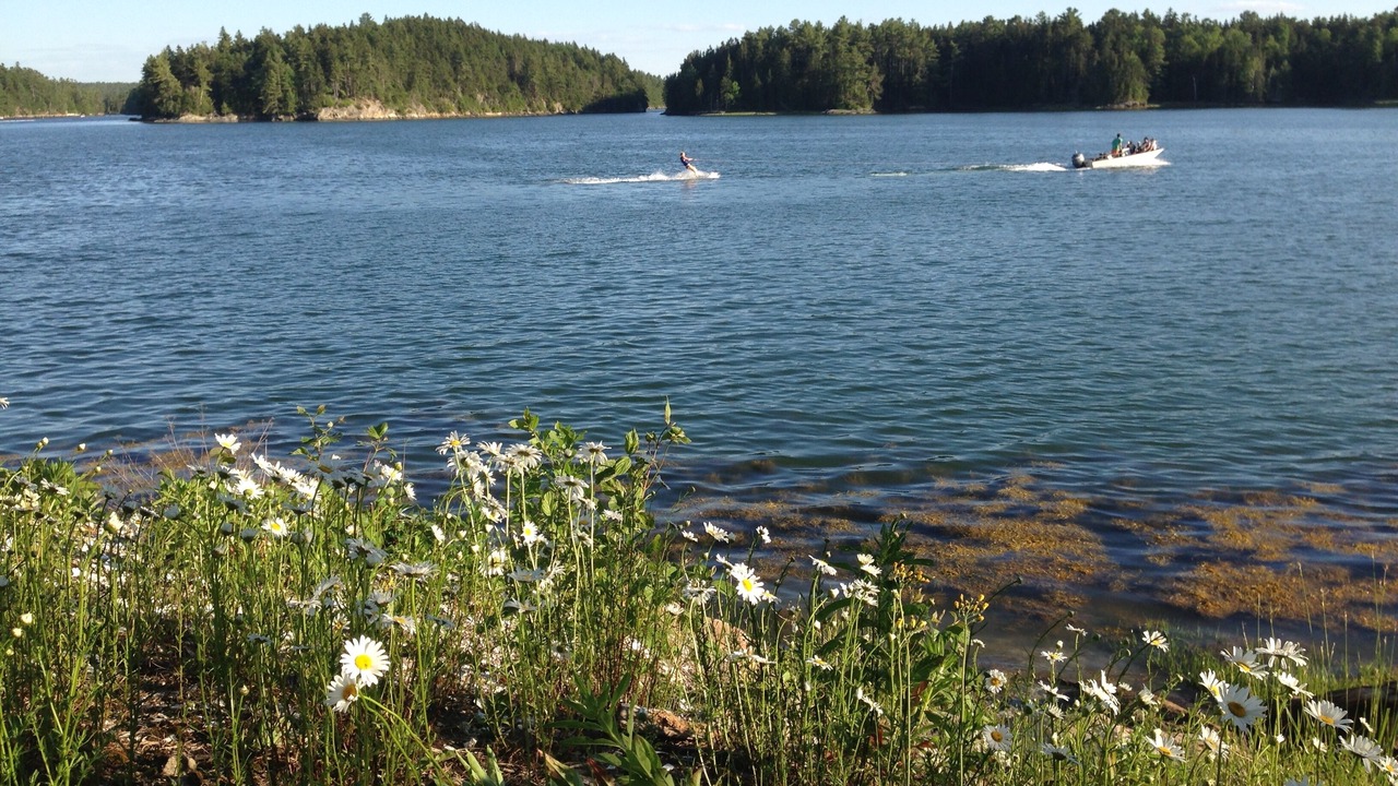 Photo of Others in West Bath