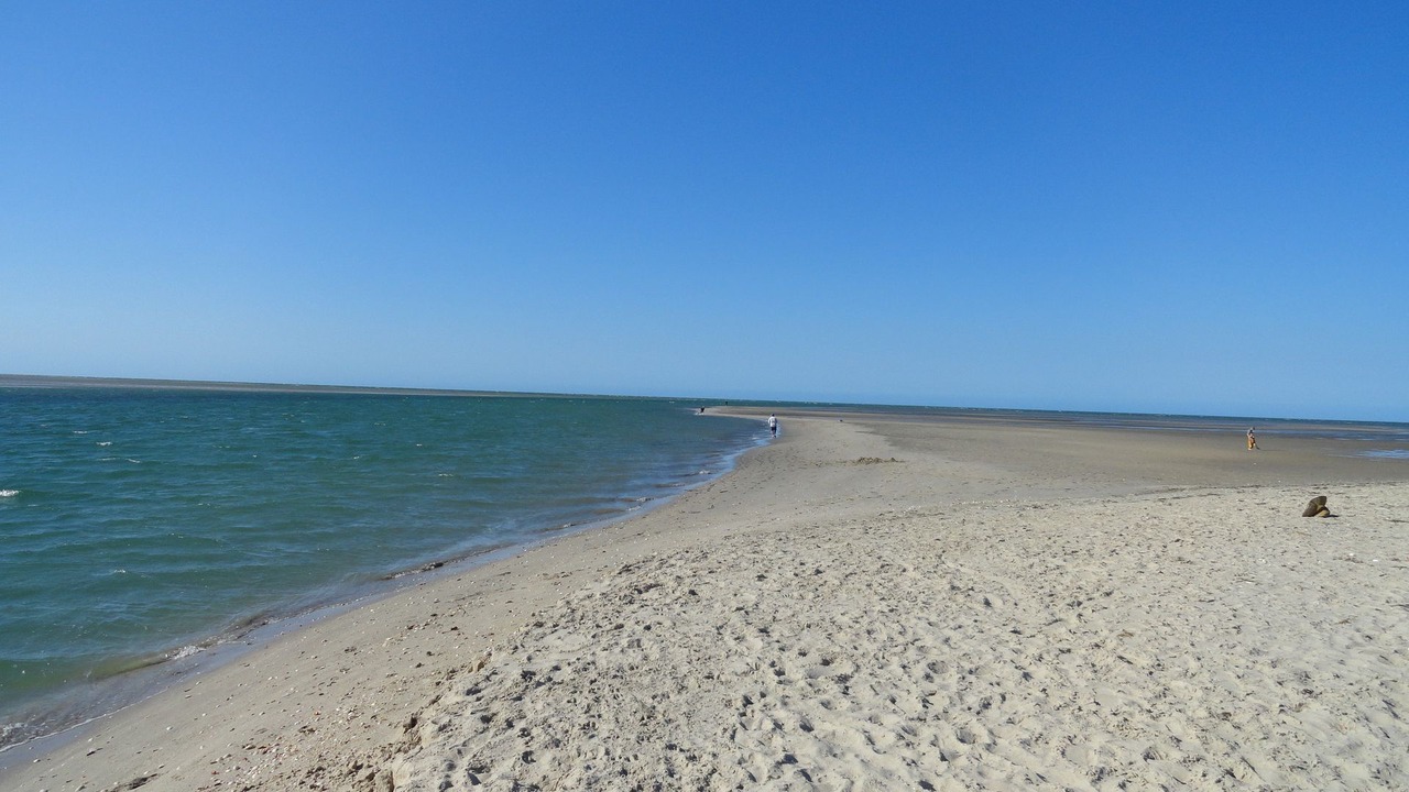 Photo of Others in Toogoom