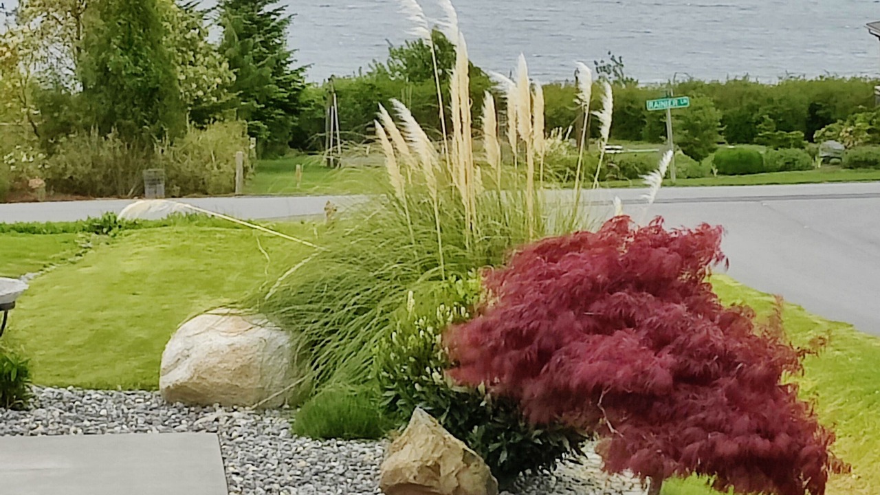 Photo of Others in Oak Harbor