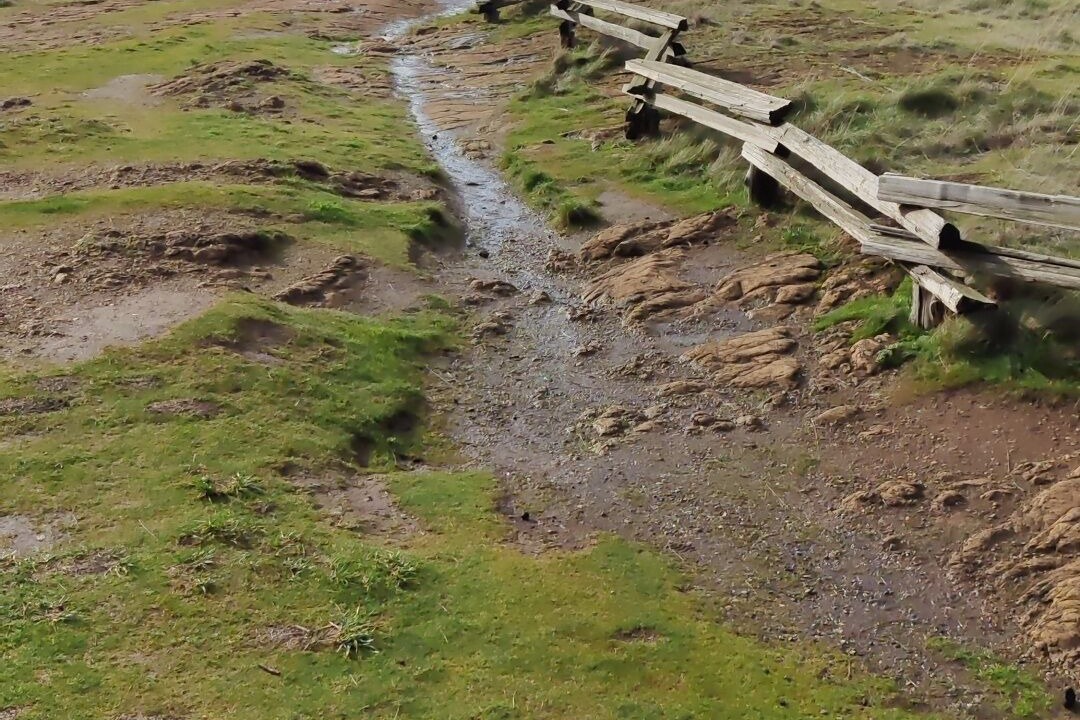 Photo of Others in Oak Harbor