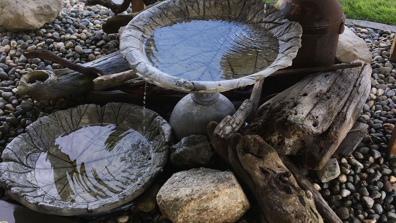 Photo of Others in Oak Harbor