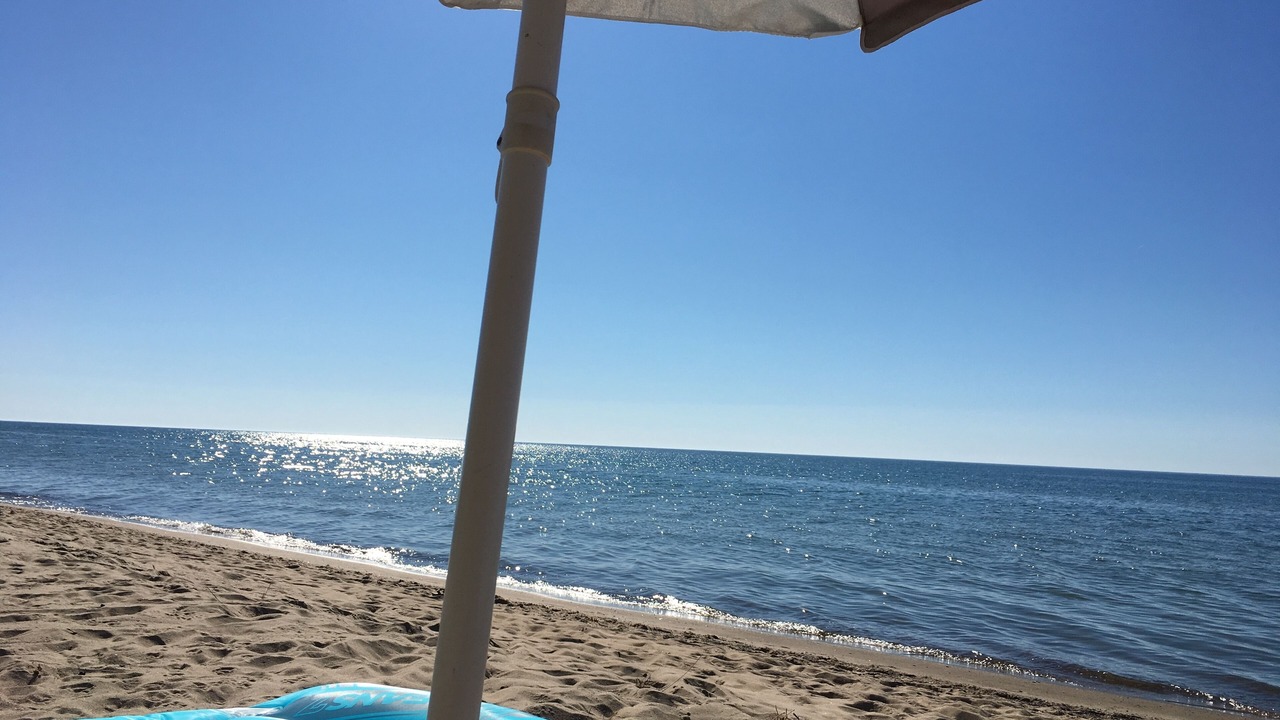 Photo of Others in Lakeside