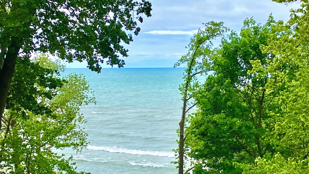 Photo of Others in Lakeside