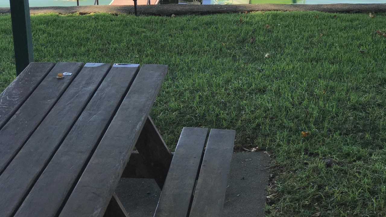 Photo of Outdoor in Clearlake