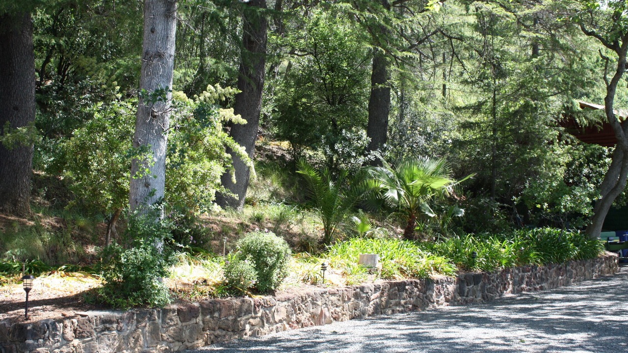 Photo of Others in Clearlake