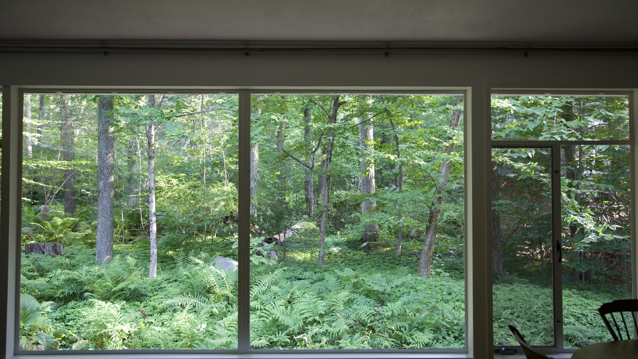 Photo of Bedroom in Lexington