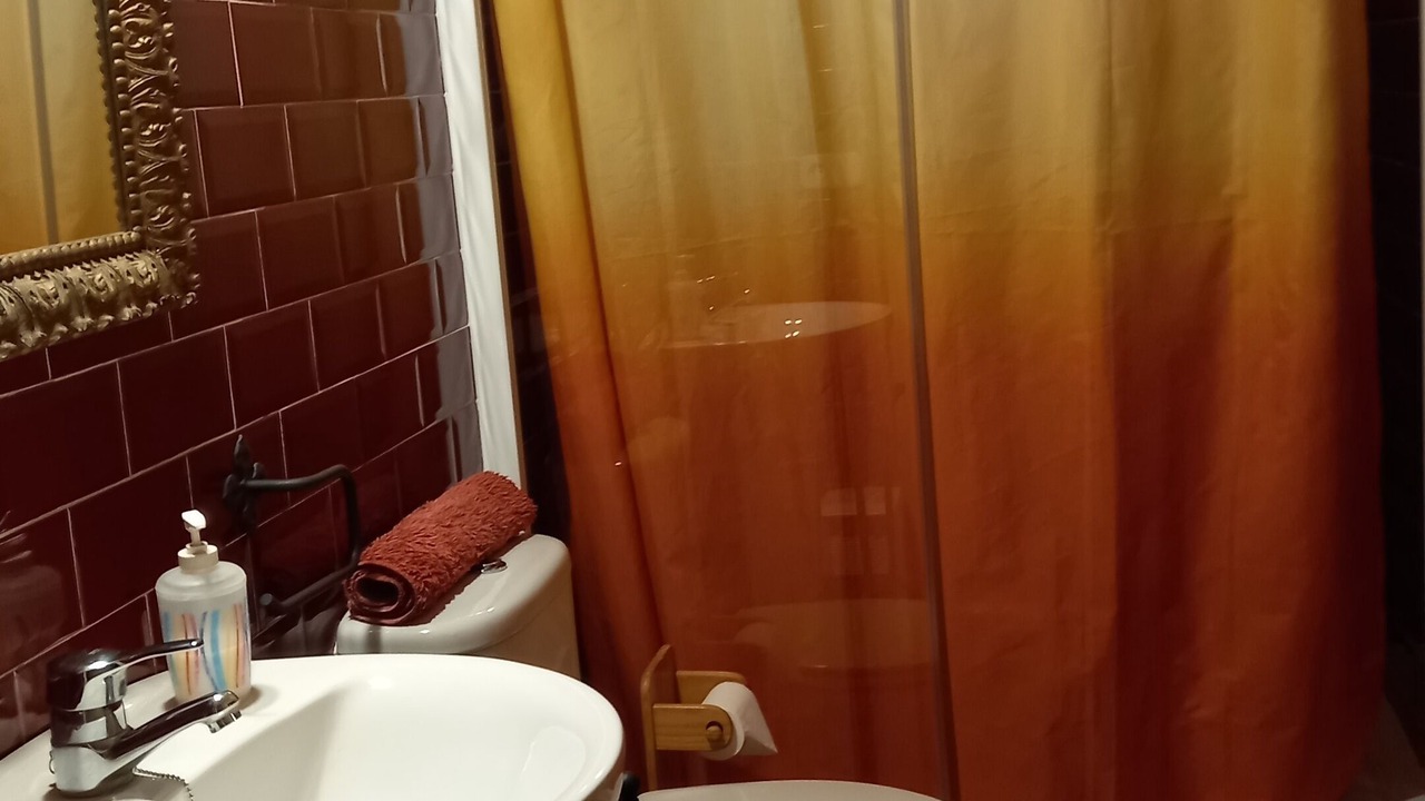 Photo of Bathroom in Olesa de Bonesvalls