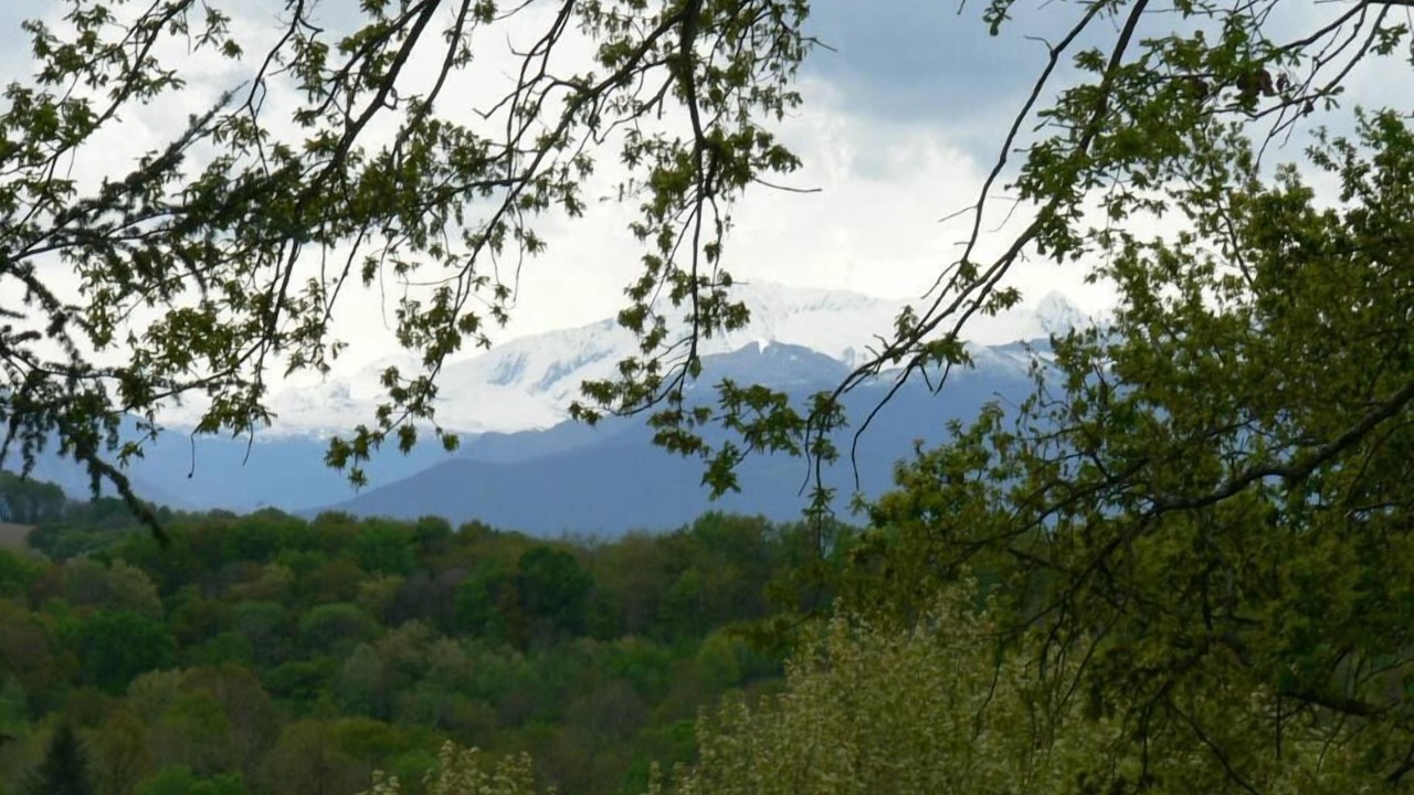Photo of Others in Lee