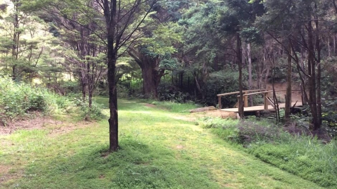 Photo of Others in Matapouri