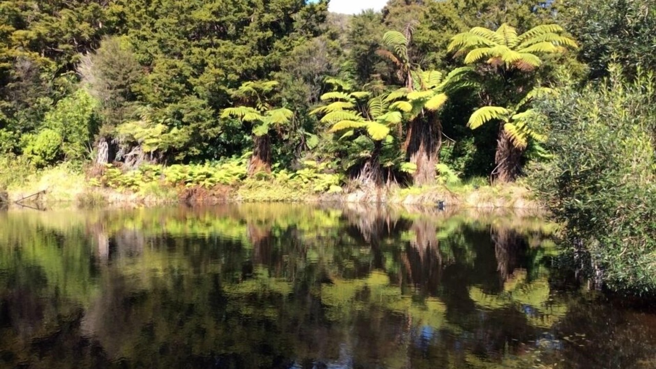 Photo of Others in Matapouri