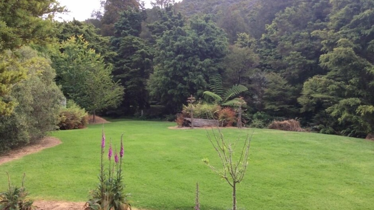 Photo of Others in Matapouri