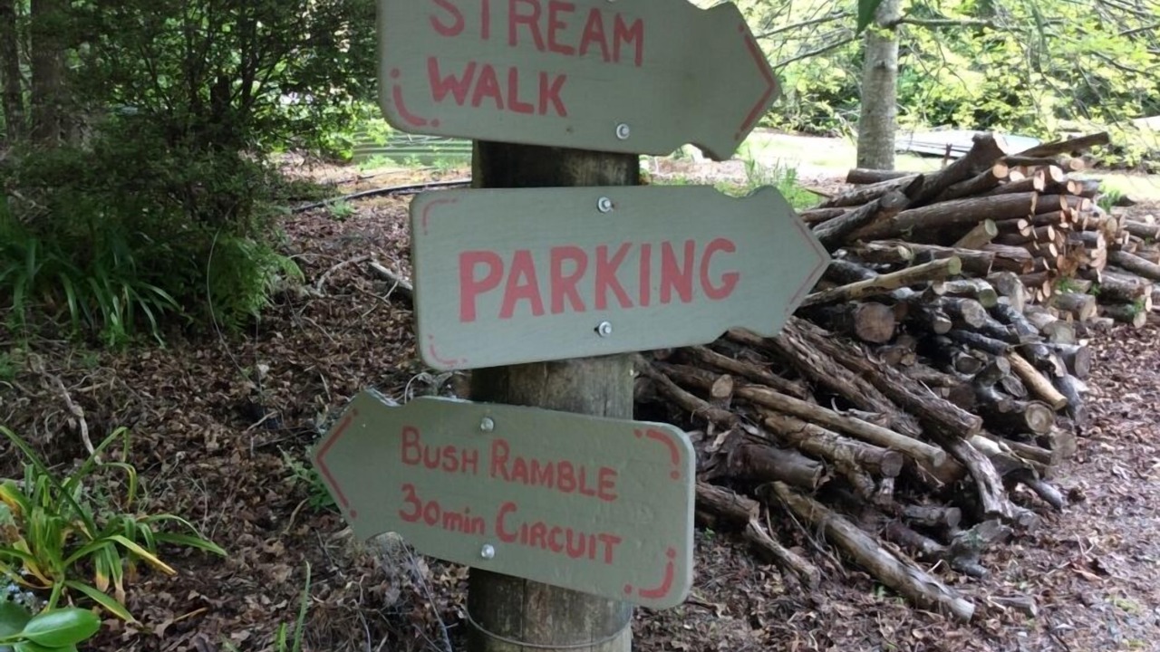 Photo of Others in Matapouri