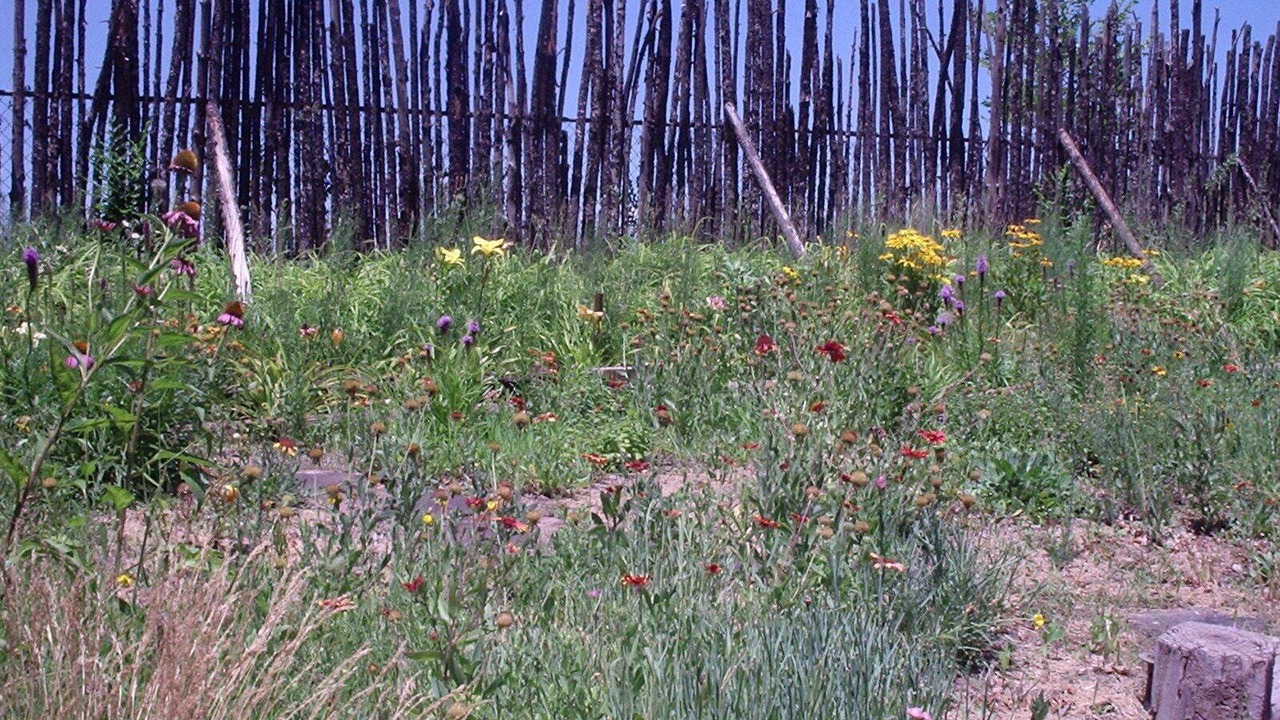 Photo of Outdoor in Vecinos Del Bosque
