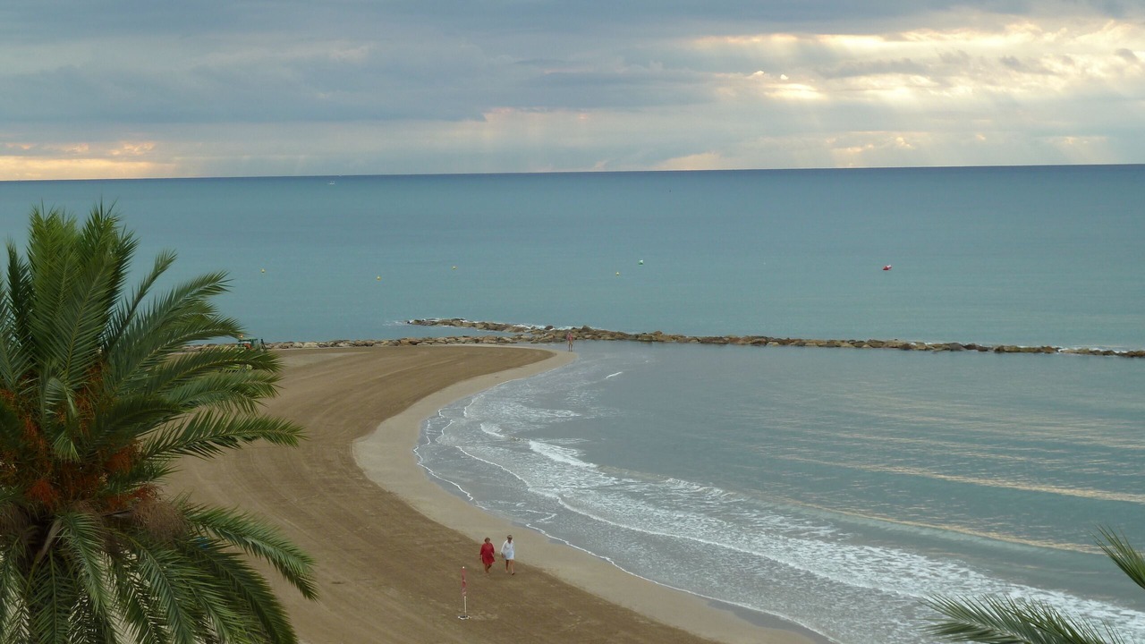 Photo of Others in Torreblanca