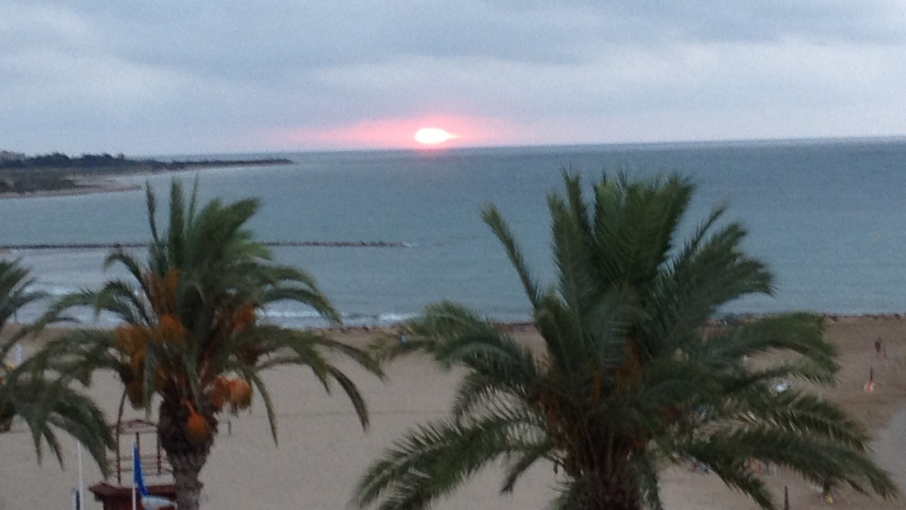 Photo of Others in Torreblanca