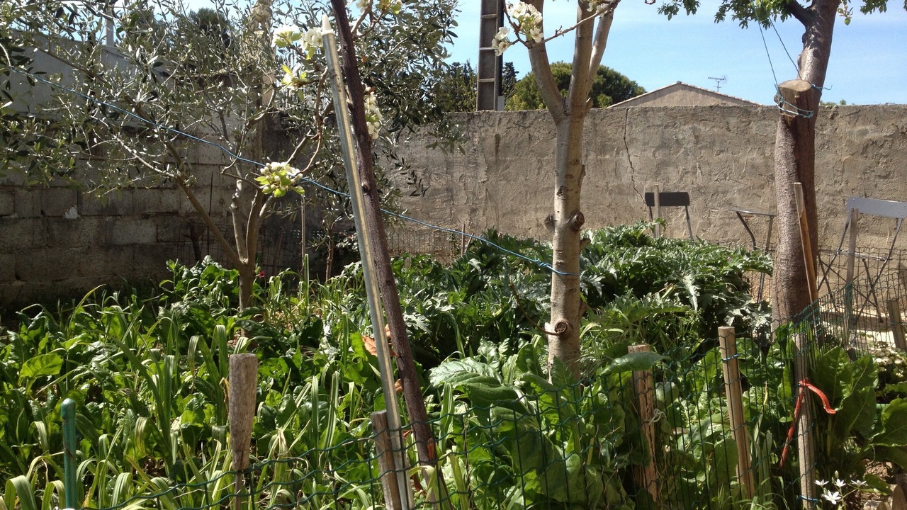 Photo of Outdoor in Marignane